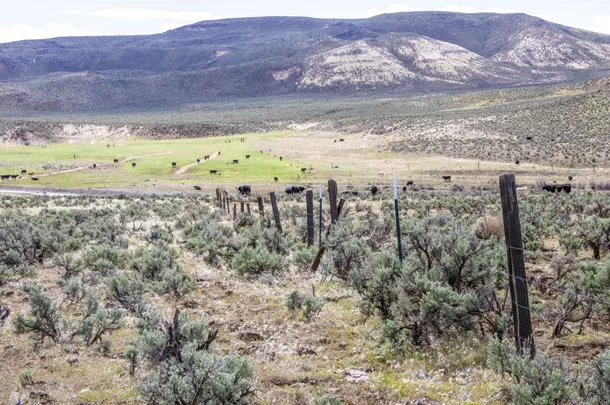 Rangeland health