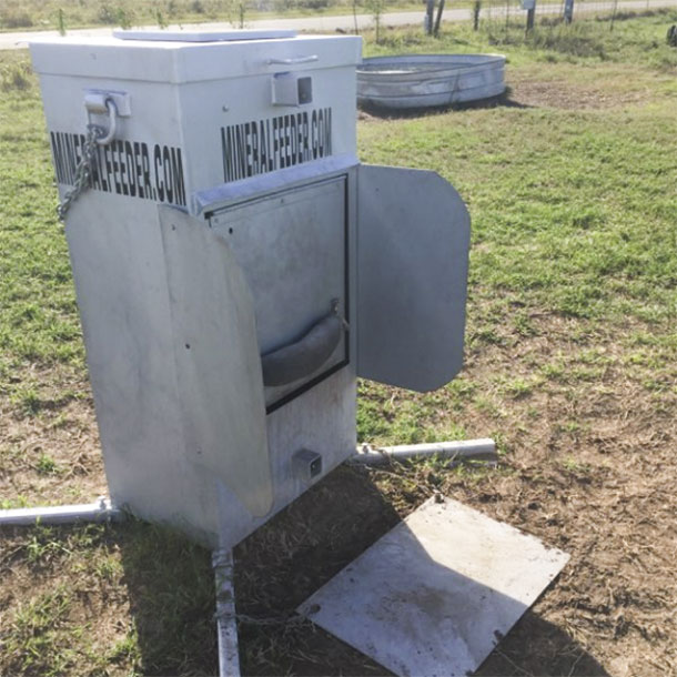 The Mineral feeder