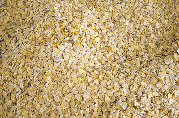 Processed corn