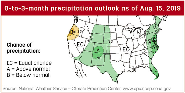 Precipitation map
