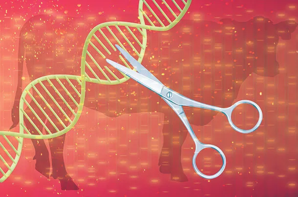 Editing genes