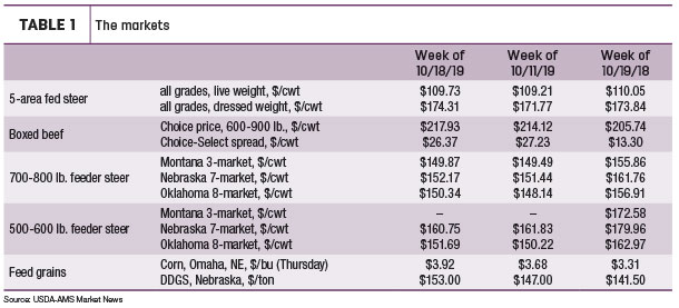 beef markets
