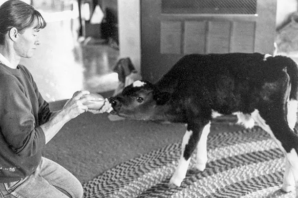 Heather Thomas bottle feeding Boom Boom