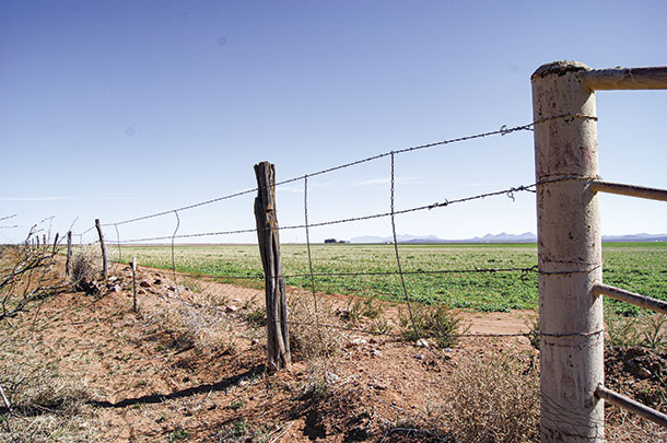 This five-strand fence along the Johnson Ranches is what separates Mexico from the U.S.