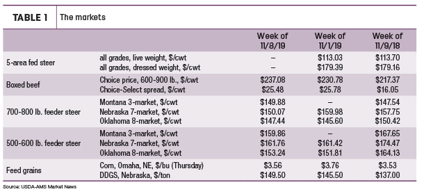 Cattle markets