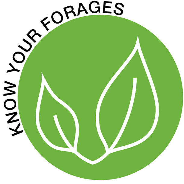 Know your forages