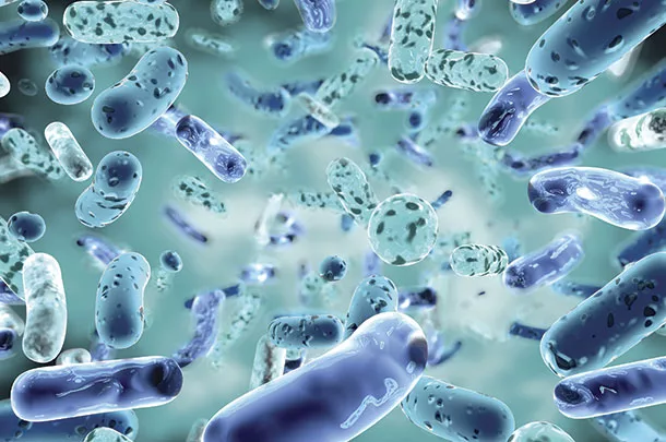 Ionophores