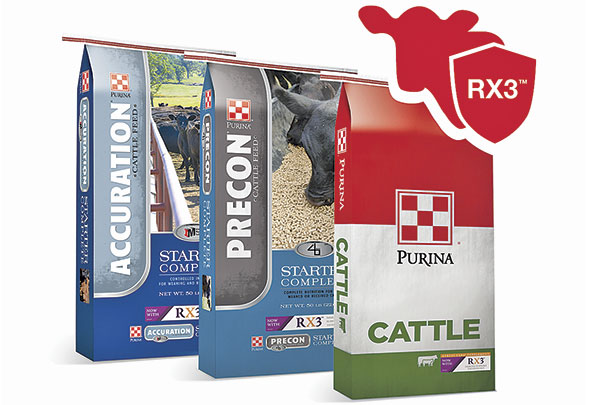 Purina RX3 Immune Support