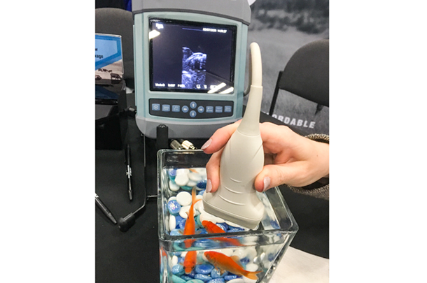 021320 ncba ultrasound