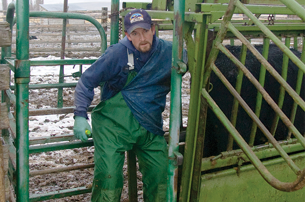 A palpation cage or an adequate amount of space behind the chute gives the vet more protection