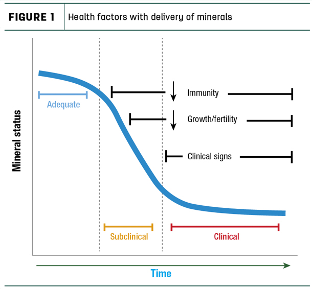 Health factors with delivery of minerals