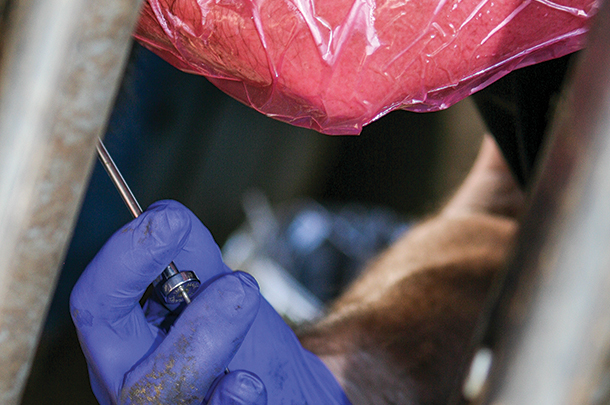 Prices per unit for sexed semen have gone down