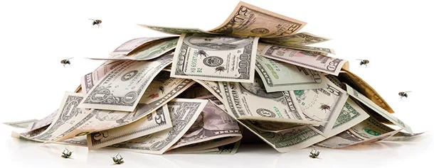 Money for pest management