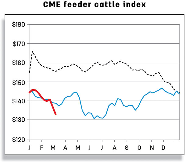 CME feeder cattle index