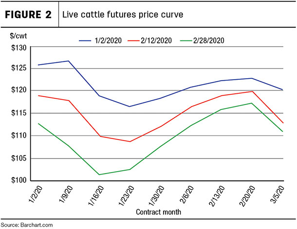 Live cattle futures price curve