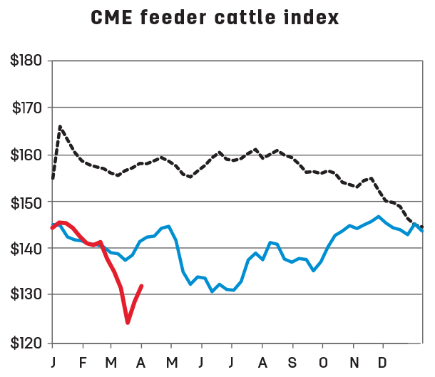 CME feeder cattle index