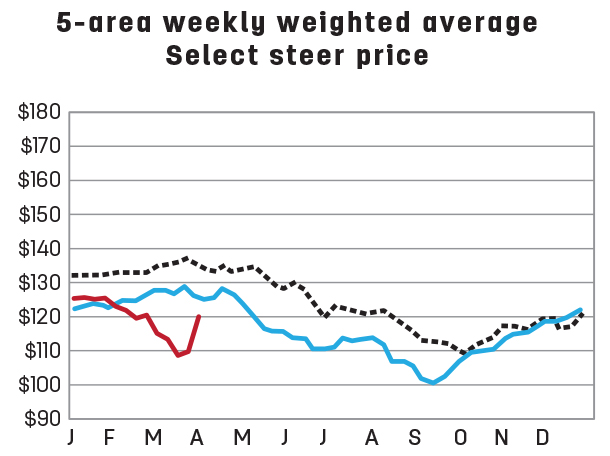5-area weekly weighted average select steer price