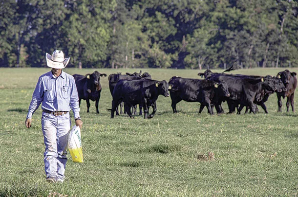Feed and mineral forms of deworming