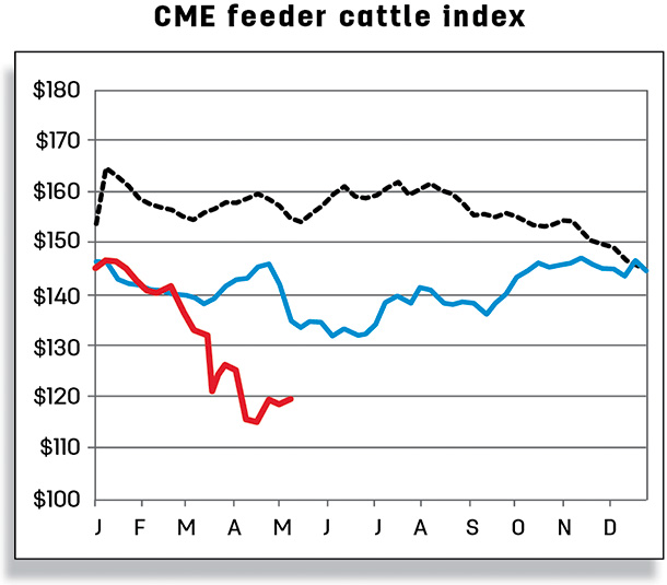 CME feeder cattle index