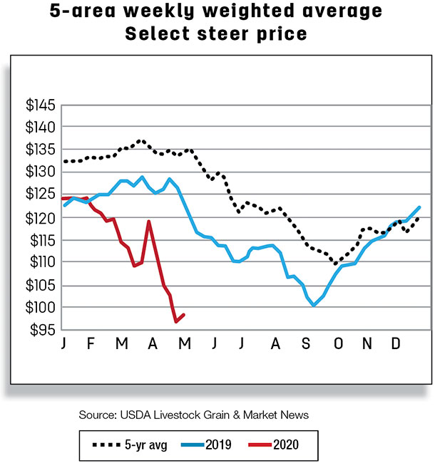 5-area weekly weighted average select steer price