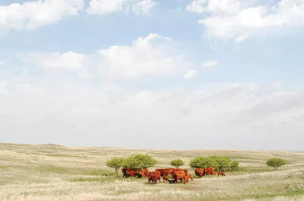 Grazing