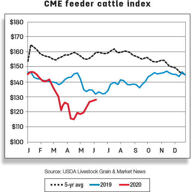 CME feeder cattle index