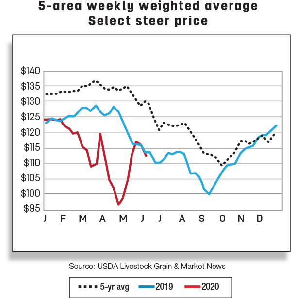 5-area weekly weighted average select steer price