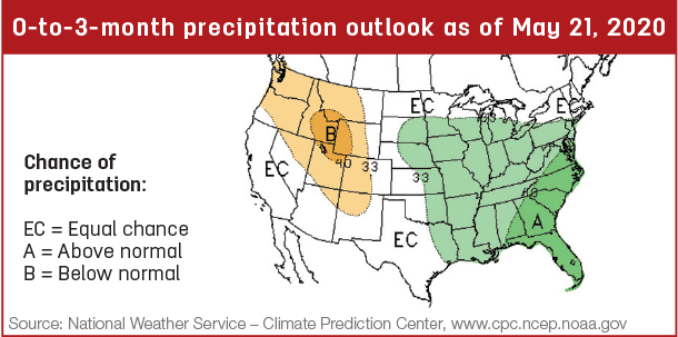 Precipitation map
