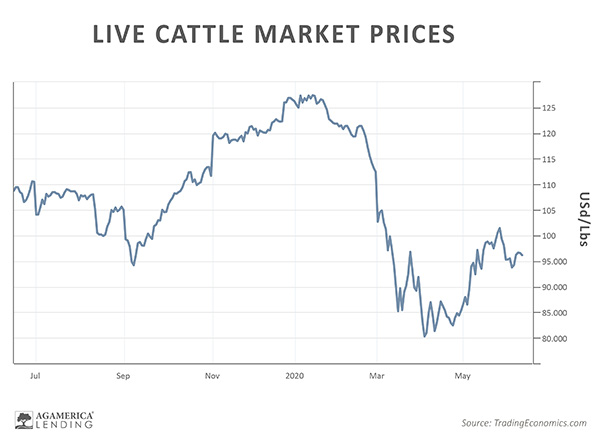 agamerica cattle futures