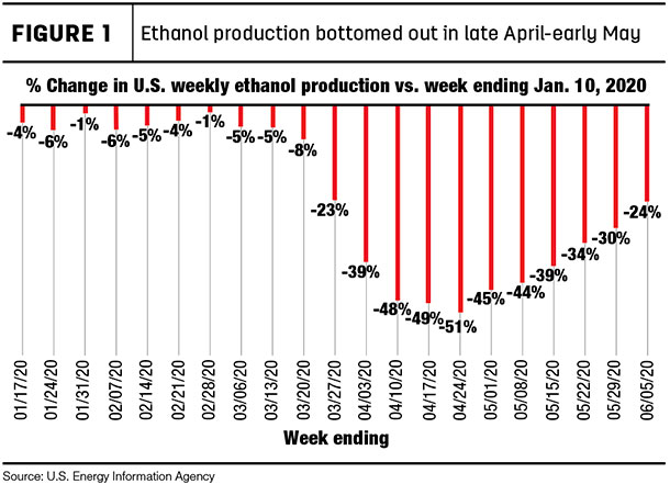 ethanol production