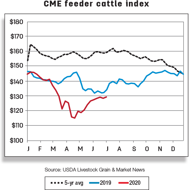 CME feeder cattle index