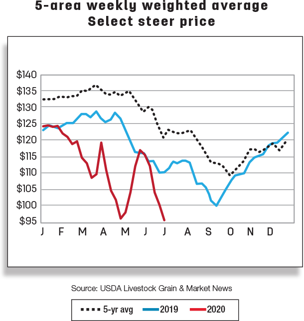 5-area weekly weighted average select steer price