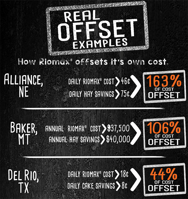 real offset graphic2