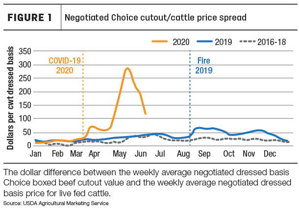 cattle prices