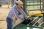 administering vaccination