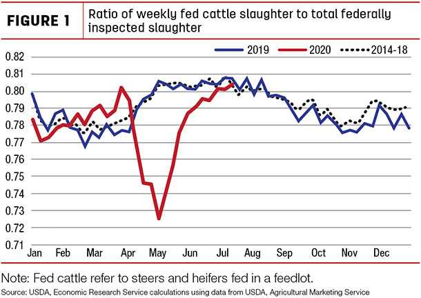 Tatio of weekly fed cattle slaughter