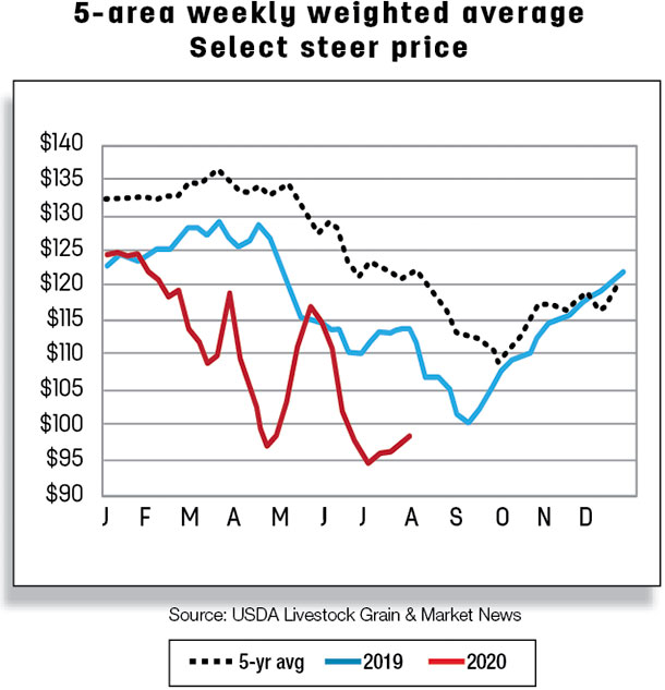 5-area weekly weighted average select steer price