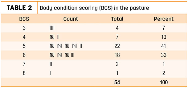 body condition scoring 