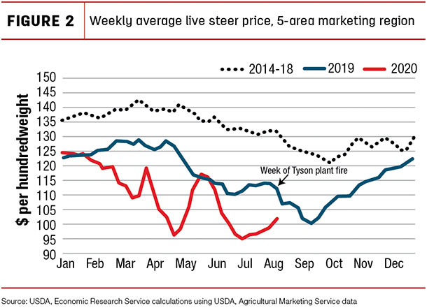 Weekly average live steer price