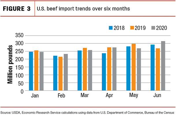 U.S. beef import trends over six months