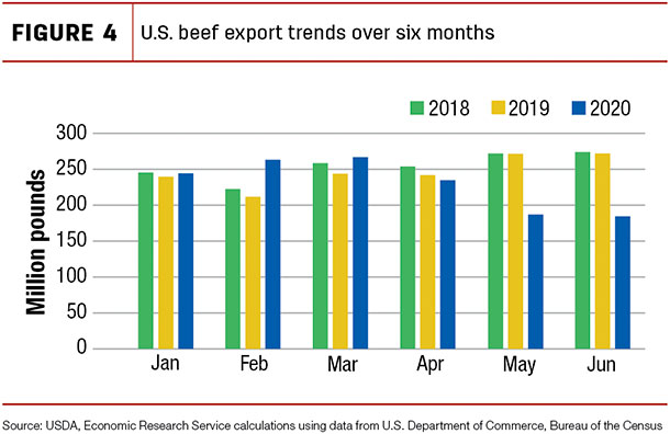 U.S. beef export trends over six months