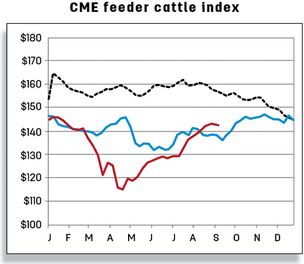 CME feeder cattle index