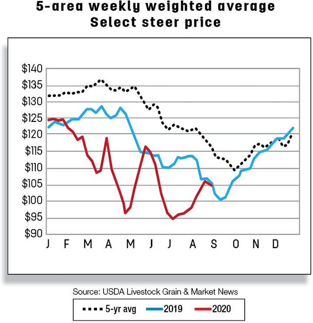 5-area weekly weighted average select steer price