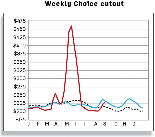 Weekly choice cutout