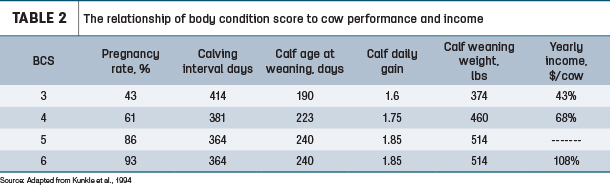 The relationship of body condition score to cow performance and income
