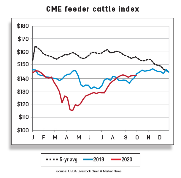 CME feeder cattle index