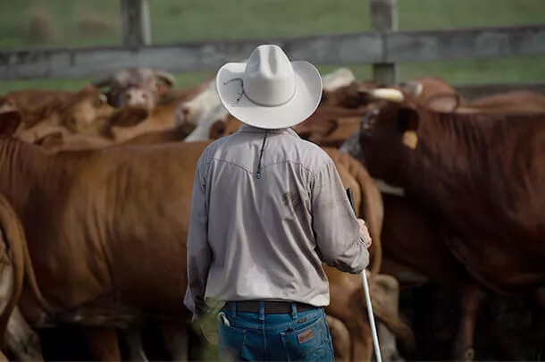 AgAmerica Lending