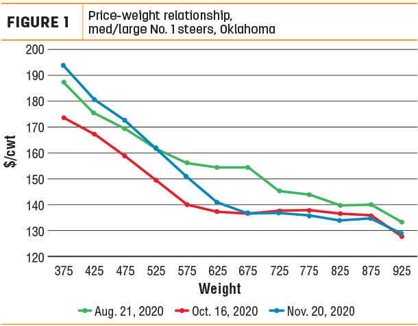 fall feeder cattle prices