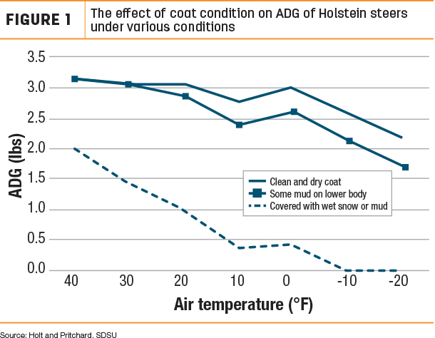The effect of coat condition