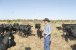 Gary Lee Price with the cattle